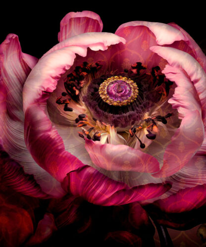 Enchanting pink