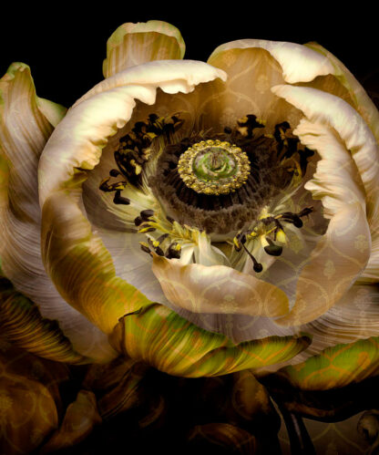 Enchanting yellow