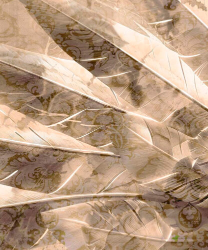 Plume Naturel