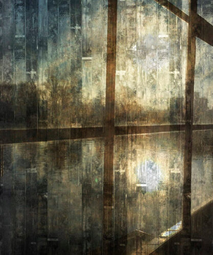 Window of your soul