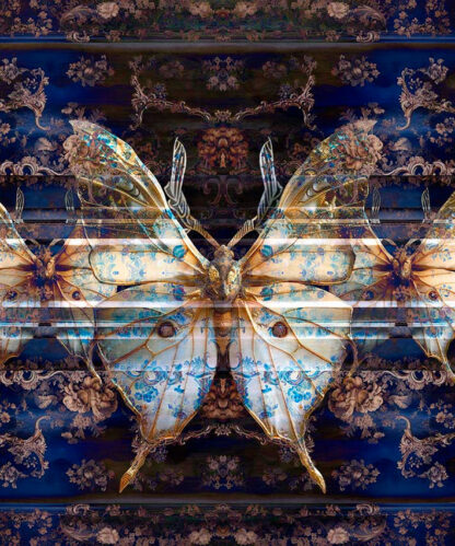 Wings of Wonder