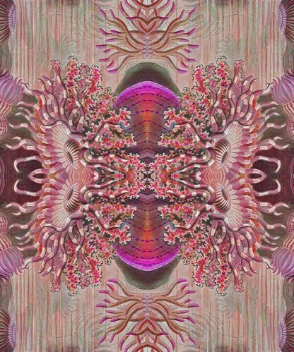 Fantasy Pink