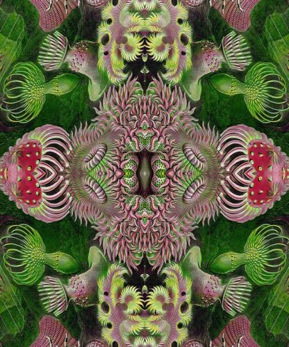 Flow Green